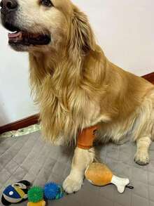 1 đôi ống bảo vệ khuỷu tay và đầu gối cỡ lớn cho chó và mèo, giúp ngăn ngừa trầy xước khớp, giữ ấm chân cho chó Golden Retriever, Labrador, German Shepherd. - Nhiều màu - Xem 5