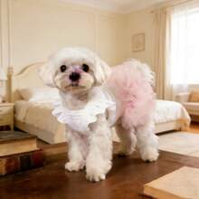 宠物狗衣服，猫咪仙女短袖蓬蓬公主裙，适合小型犬，如贵宾犬、泰迪犬、雪纳瑞犬、比熊犬、马尔济斯犬、约克夏梗犬等。生日派对服装，春夏款。 - 白色 - 查看 14