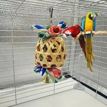 畅销跨境灯笼鸟玩具,鹦鹉玩具,彩色纸质咀嚼玩具,灯笼玩具,鸟笼装饰 - 查看 2