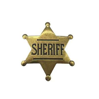 警徽玩具，西部风格背心徽章，副警长荣誉星胸针，万圣节嘉年华派对礼物，适合学校、牛仔女孩、牛仔成人