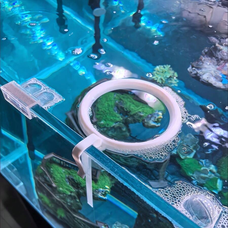 自动漂浮式喂鱼器。水位自动调节，防止水花飞溅。定时喂食装置，保持水质清澈。家用鱼缸必备。