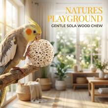 2.36英寸鸟类觅食和咀嚼玩具，适合小型鸟类和鹦鹉磨喙玩具 - 查看 10