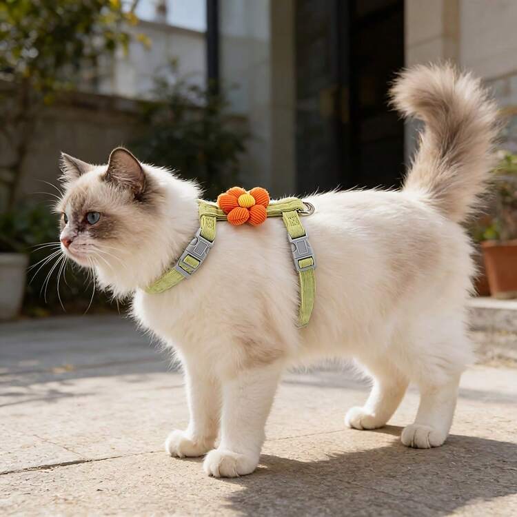 条纹花卉图案宠物胸背带和牵引绳套装，适合猫咪/小型犬，5种颜色可选，方便节日装饰和摄影 - 彩色 - 查看 5