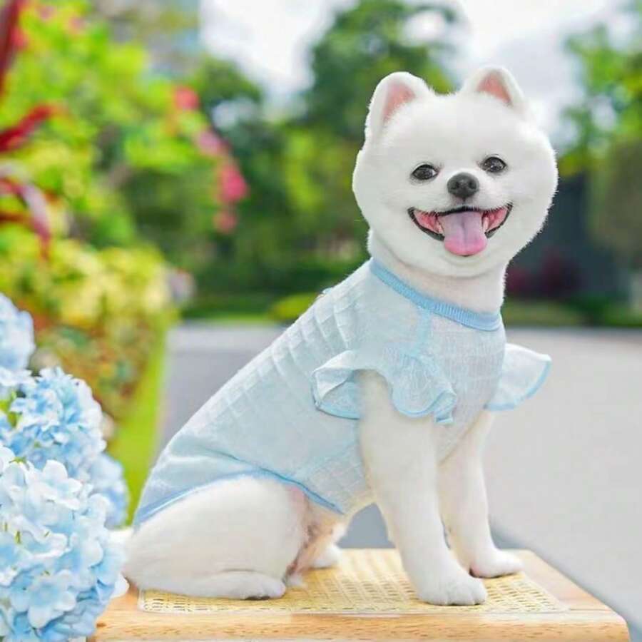 Summer New Pet Chiffon Fly - Sleeve Vest, Lightweight And Breathable, With Leash Ring, Suitable For Cats And Dogs . - Baby Blue - View 1