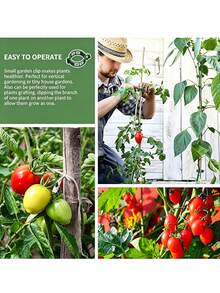 100个塑料植物固定夹，塑料网格夹，塑料温室植物支撑夹，番茄夹，塑料园艺夹，植物绑带，温室夹，帮助植物直立健康生长，幼苗固定藤蔓夹，春季植物种植捆绑夹，支撑葡萄藤、番茄藤和蔬菜直立生长，使植物更健康 - B - 查看 5