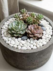 250g/500g/1000g/2500g Natural White Pebbles, Pure White Smooth Asymmetric Decorative Stones For Vase Filler Plant Top Dressing Aquarium Gravel, Outdoor Indoor Home Garden Kitchen Bathroom Wedding Easter Spring Decor - White - View 6