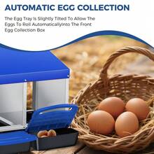 Chicken Nesting Box, Roll Away Chicken Nesting Box, Zinc Alloy Nesting Box With Roll Away Egg Collection Plastic Handle Metal Stand, Wall/Freestanding For  Backyard Farm - Blue-three Grids - View 6