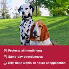 K9 Advantix II Medium Dog Flea, Tick & Mosquito Prevention | Dogs 11-20 Lbs. | 6-Mo Supply - 中型犬 - 查看 3