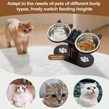 猫粮水碗套装 - 防滑可调节，狗狗碗套装，宠物喂食饮水碗 | 适合幼猫、幼犬日常在厨房、浴室、玄关、游戏室使用 - 1公升 - 查看 6
