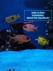 10000颗夜光蓝色鹅卵石，适用于花园小径、草坪、水族箱、花瓶填充物、室内外景观DIY发光砾石、仙境花园 - B - 查看 10