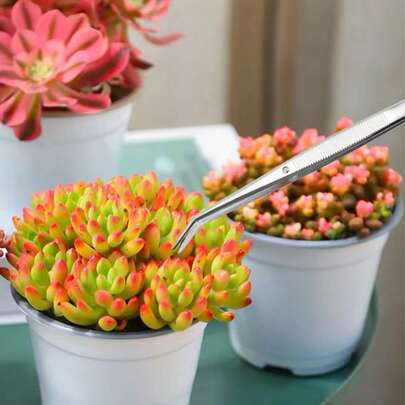 Nhíp may bằng thép không gỉ, nhíp tỉa cây cảnh, chống tĩnh điện, đầu nhọn cong, dụng cụ nha khoa, dụng cụ may vá và chế tác chính xác, nhíp may đa chức năng, nhíp thí nghiệm, kẹp đầu cong dùng để băng bó, thích hợp cho dệt, may vá, công việc thí nghiệm.