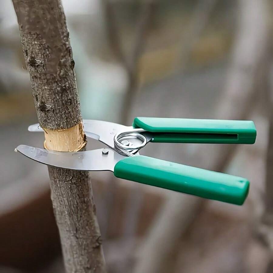 两件套园艺嫁接工具套装，含嫁接胶带、专业不锈钢修枝剪和嫁接刀，适用于果园和葡萄园的果树嫁接工具包