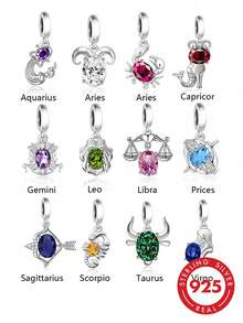 HuooNew 1pc 925 Sterling Silver Abstract Zodiac Animal Design CZ Pendant, Versatile DIY Beading Necklace Charm For Men And Women, Commemorative Gift - Silver - View 1