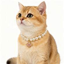 1pc Elegant & Cute Princess Style Handmade Beaded Cat/Dog Flower Pendant Necklace Accessory - Multicolor - View 6
