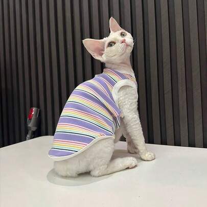 条纹猫背心，撞色滚边设计，适合德文卷毛猫，防掉毛，室内外均可穿着，可机洗，适合小型至中型猫咪