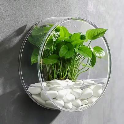 Chậu hoa treo tường bằng acrylic, chất liệu trong suốt, chậu trồng cây gắn tường, chậu trang trí tường, thích hợp cho trồng thủy canh và trồng trong đất.