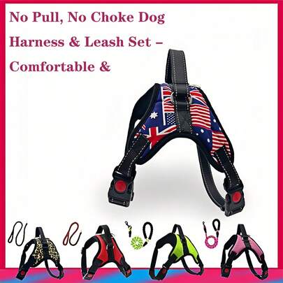 Phù hợp cho thú cưng, nhiều màu sắc, chất liệu lưới thoáng khí, phản quang dễ nhìn thấy, chống giật không gây nghẹt thở, có tay cầm điều khiển, thoải mái và nhẹ, bộ dây đeo và dây xích, bộ vòng cổ cho chó, cần thiết cho các chuyến đi chơi hàng ngày và du lịch.