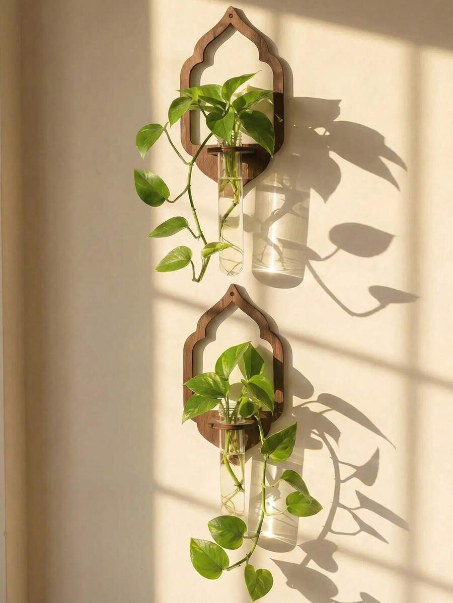 1个壁挂式植物繁殖花瓶架，水培种植器，拱形壁龛式，波西米亚乡村风绿色植物根系展示架，垂直花园装饰，节省空间的客厅卧室墙面装饰