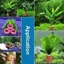 1/3/6 piezas Anillos cerámicos para plantas de acuario, diseñados especialmente para tanques de peces, proporcionando soporte estable para el paisaje. Anillos de gravedad para plantas de acuario, anillos de respiración biológica, anillos de fijación de plantas de acuario fáciles de usar, adecuados para paisajismo y decoración - Multicolor - Ver 6