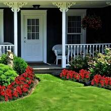 100Plants  Geranium-UV Resistant Outdoor Plants, Vibrant Artificial Green Plants, Suitable For Wedding, Engagement And Home Decoration Cold-Resistant And Suitable For All Seasons, Suitable For DIY Garden, Home Garden, Flowerpots And Courtyards-Ideal Gardening Gifts - 26 hạt giống - Xem 3