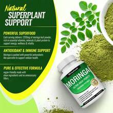 Moringa Capsules 1200mg - Pure Moringa Powder For Immune, Gut Health 90 Capsules - 3PCS - 查看 6