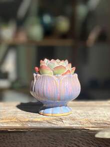 1pc Gradient Succulent Planter, Nordic Style Ceramic Breathable Minimalist Flower Pot, Lotus Succulent Planter, Creative Gardening New Arrival - Gradient Succulent Flower Pot Ceramic - View 8