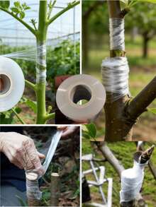 Fruit Tree Grafting Film, PE Wound Dressing For Grafting Fruit Trees, Green Plants, Succulents And More - A - View 2