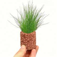 1/3/6 piezas Anillos cerámicos para plantas de acuario, diseñados especialmente para tanques de peces, proporcionando soporte estable para el paisaje. Anillos de gravedad para plantas de acuario, anillos de respiración biológica, anillos de fijación de plantas de acuario fáciles de usar, adecuados para paisajismo y decoración - Multicolor - Ver 9
