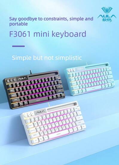  AULA 狼蛛 F3061迷你小鍵盤有線小筆電輕音辦公室打字便攜式RGB燈光