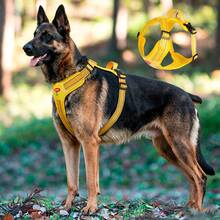 战术犬用胸背带，带手柄和牵引绳，易于控制和训练，适合散步，配有可调节反光带 - 彩色 - 查看 6