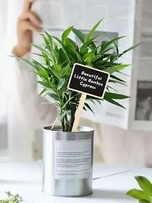 3/5/10pcs Garden Plant Labels, Creative Wooden Chalkboard Tags, Reusable T-Type Labels, Suitable For Potted Plants, Outdoor Plant Identification, Seeds, Herbs, Vegetables - 黑色 - 查看 2