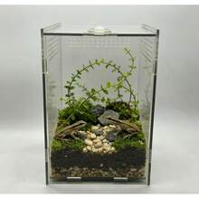 Caja de hábitat de reptil de acrílico, terrario pequeño para mascotas para arañas, lagartos, mantis, contenedor de observación transparente - Multicolor - Ver 3
