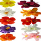10 PCS Multicolor