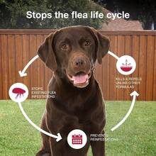 K9 Advantix II Medium Dog Flea, Tick & Mosquito Prevention | Dogs 11-20 Lbs. | 6-Mo Supply - 中型犬 - 查看 6