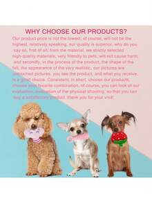 This Five-Piece Dog Toy And Supplies Set Includes A Puppy Teething Toy, A Pink Soft Rubber Puppy Toy, A Teething Toy, A Fun Bone-Shaped Ball, A Rubber Rope, And A Water Play Toy. Suitable For Small/Medium-Sized Cats And Dogs, It Makes An Ideal Pet Gift. - Multicolor - View 7