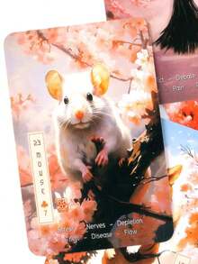 1 Box New Trionfi Della Luna Tarot Cards - Classic Fun Tabletop Game, Durable Paper, Exquisite & Portable - Cherry Blossom Themed Cards - View 7