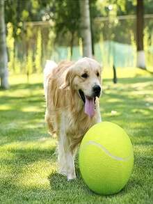 1 chiếc máy phóng bóng tennis cho thú cưng, đường kính 24cm/9.5in, dùng để huấn luyện và tương tác với chó. - Nhiều màu - Xem 3