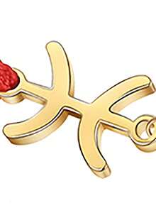 LIKGREAT 非洲柏柏尔符号手链，男女通用，不锈钢链条，卡比尔风格，阿马齐格手链，护身符饰品 - 星座系列 - 查看 5