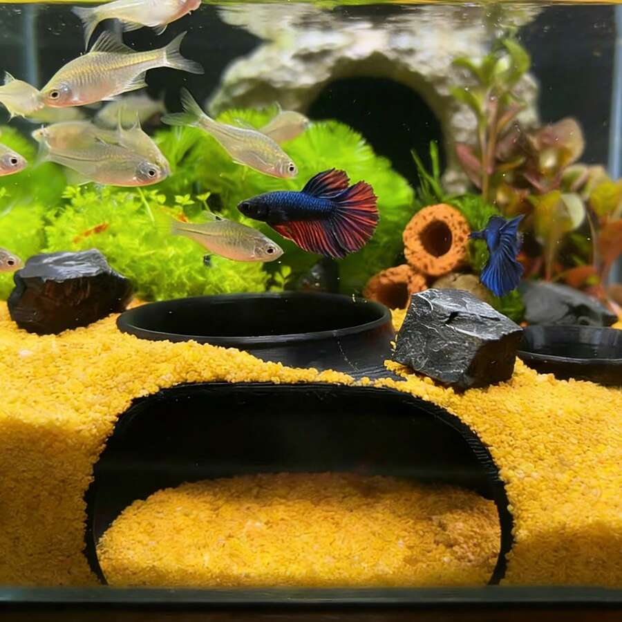 盆状下沉式鱼缸配件，用于观赏底砂下鱼虾的隧道洞穴，鱼缸装饰，提供躲藏场所和栖息地，适用于孔雀鱼、斗鱼、珊瑚鱼、泥鳅、小丑鱼、清道夫等，塑料材质，非电动，鱼缸隧道躲藏处 | 自然弯曲的洞穴装饰，适用于孔雀鱼、斗鱼、胡子清道夫等 | 淡水海水缸配件 | 易于安装的鱼类躲藏处