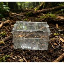 Caja de hábitat de reptil de acrílico, terrario pequeño para mascotas para arañas, lagartos, mantis, contenedor de observación transparente - Multicolor - Ver 9
