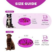 Fun Feeder Slo Bowl – Medium 2‑Cup Capacity, Slow Feeding, Small To Medium Dogs & Cats, Non-Slip, Purple, Flower Pattern - Purple - View 5
