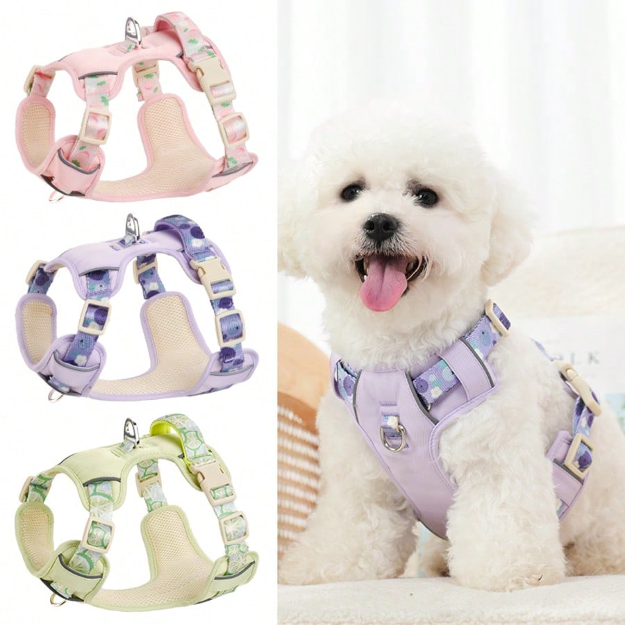 Arnés y Correa para Perros con Estampado de Frutas, Chaleco sin Tirones con Hebilla Frontal a Prueba de Escape con Tiras Reflectantes, Equipo de Pase