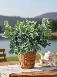 1 pieza Hoja de cacahuete, verde y blanca, hecha de material de PE, planta artificial, adecuada para decoración de jardín, decoración del hogar, decoración de dormitorio escolar, oficina, fiesta al aire libre, fiesta de cumpleaños, decoración de habitación, sala de estar, dormitorio, banquete de boda, cocina, jardín, decoración de primavera y verano, decoración verde, decoración para todas las estaciones - Verde-A - Ver 2