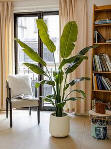 Artificial Tropical Palm Plant 80cm With 24 Leaves, Real Touch Of Strelitzia (Bird Of Paradise), Fake Banana Tree For Home And Garden Decoration. - 綠色的 - 查看 8