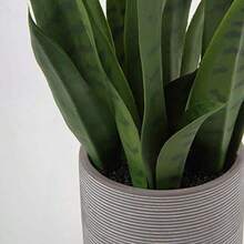 Briful - Planta de serpiente falsa de 16 pulgadas planta de serpiente artificial con maceta de cemento planta de sansevieria perfecta para la casa sala de estar oficina regalo de inauguración de - Verde02 - Ver 8