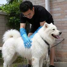 2 đôi găng tay tắm cho thú cưng, bàn chải tắm dài, thích hợp cho chó Poodle, Golden Retriever và các loại thú cưng khác. - Màu xanh lam - Xem 2