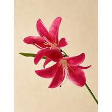 34cm Artificial Pink Lily Flower, Silk Fake Flower For Home Decor, Wedding Bouquet, Birthday Party, Dining Table, Garden, Wedding Decoration, Bridal Bouquet, Silk Lily Flower - Màu Hồng Tươi - Xem 6