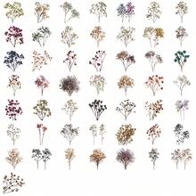 50 piezas Colección de flores secas Pegatinas de registro PET Materiales decorativos hechos a mano para scrapbooking, diario, álbum, manualidades, suministros para scrapbooking - 1 juego - 50 piezas - Ver 8