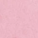 17 Peach Guava