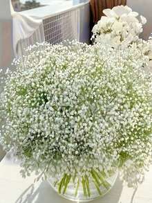 20/10/5/1pc Artificial White Baby's Breath, White Artificial Flowers, Suitable For Wedding Decoration, Home Decor, Tabletop Decor, DIY Floral Arrangement, Wedding And Holiday Party Decoration, Home Outdoor Garden Decor, Wedding, Party, Room Decoration - Multicolor - View 9